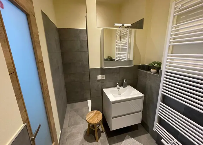 Elisabett - Isa - 1 Schlafzimmer Und 1 Bad, Bis 2 Personen Apartment Erfurt